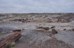 Troncos petrificados há mais de 200 milhões de anos no Petrified Forest National Park, no Arizona - Estados Unidos